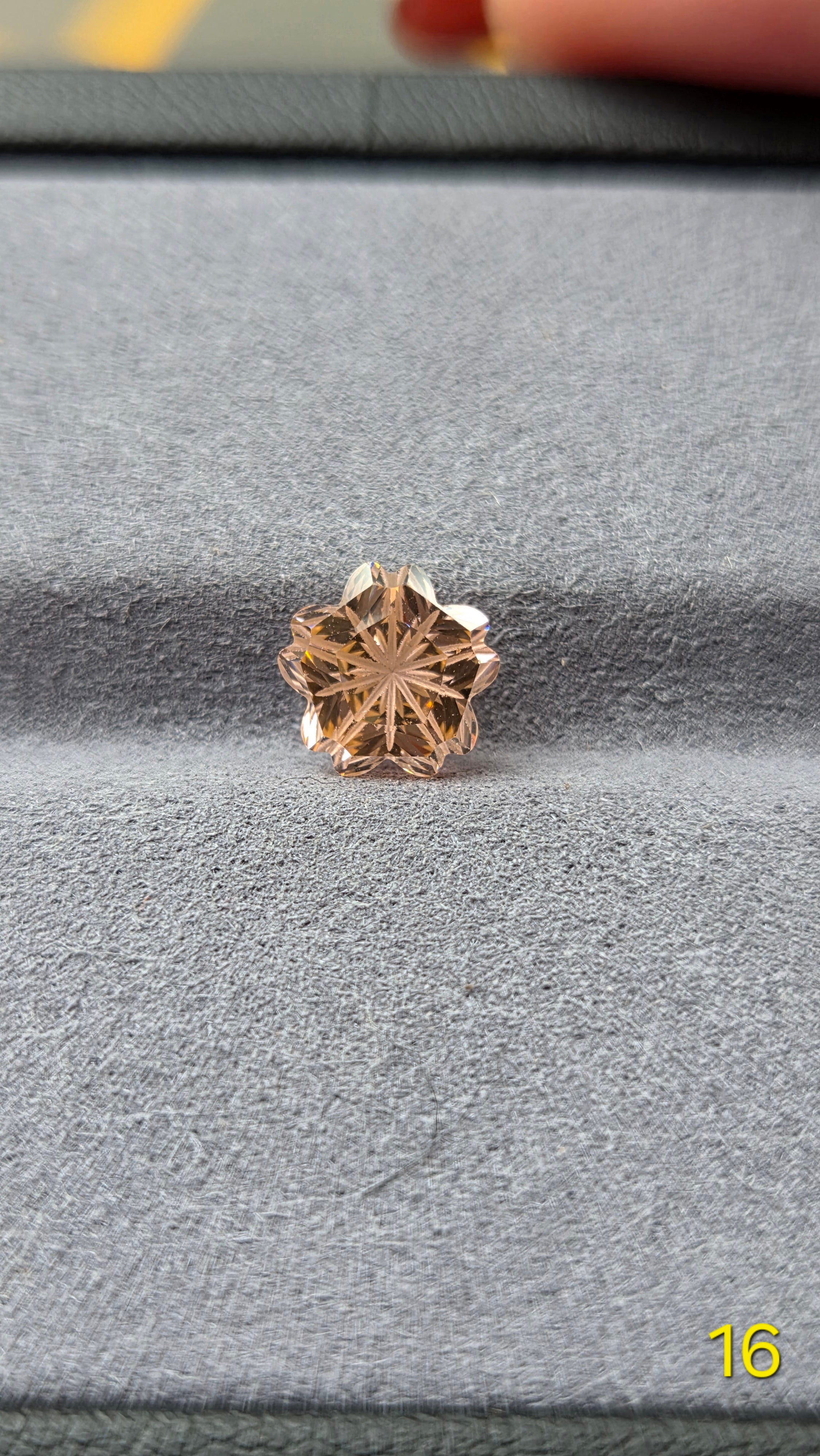 櫻花 016 蓮花橙粉