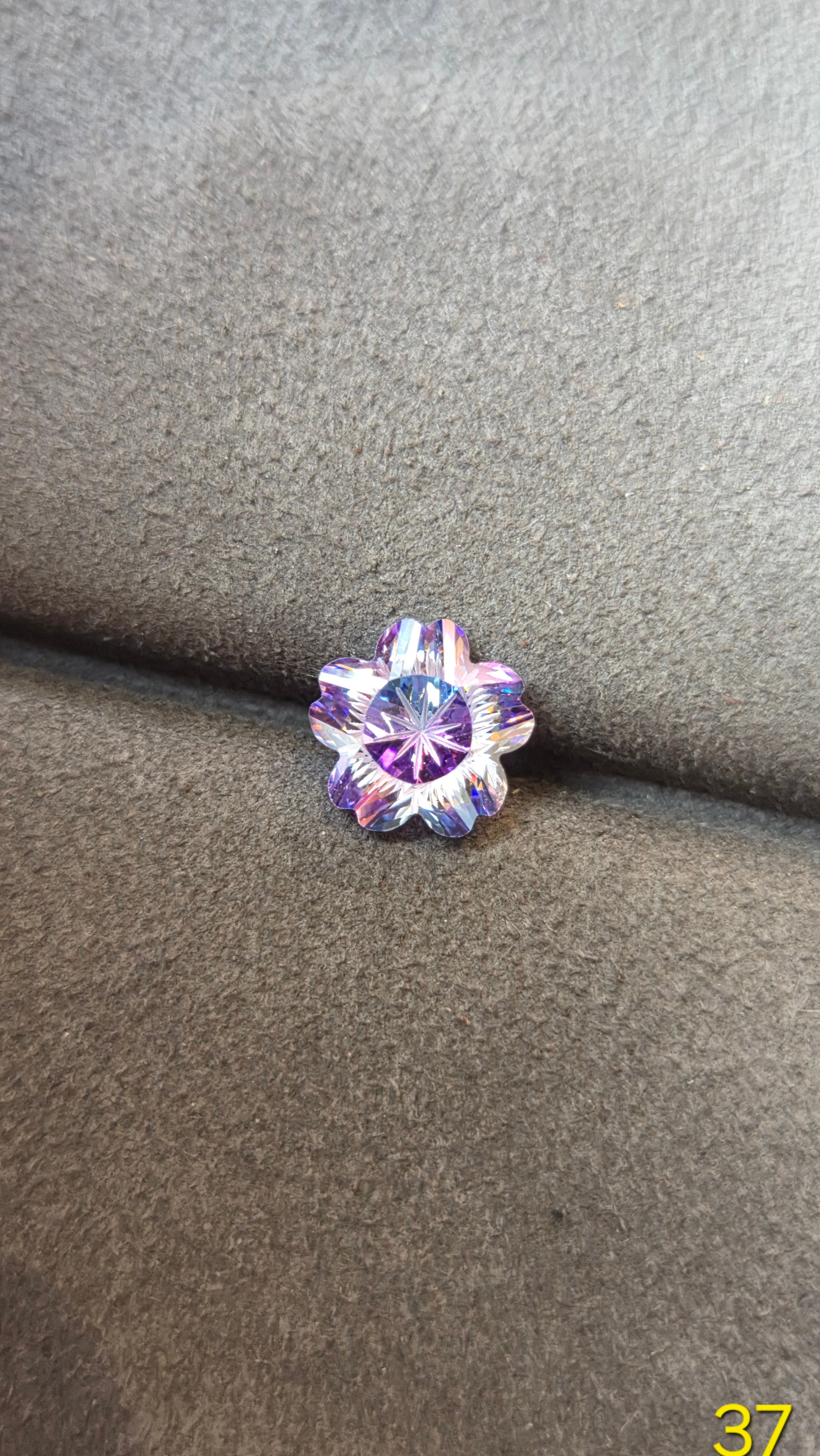 櫻花 037 流星紫藍
