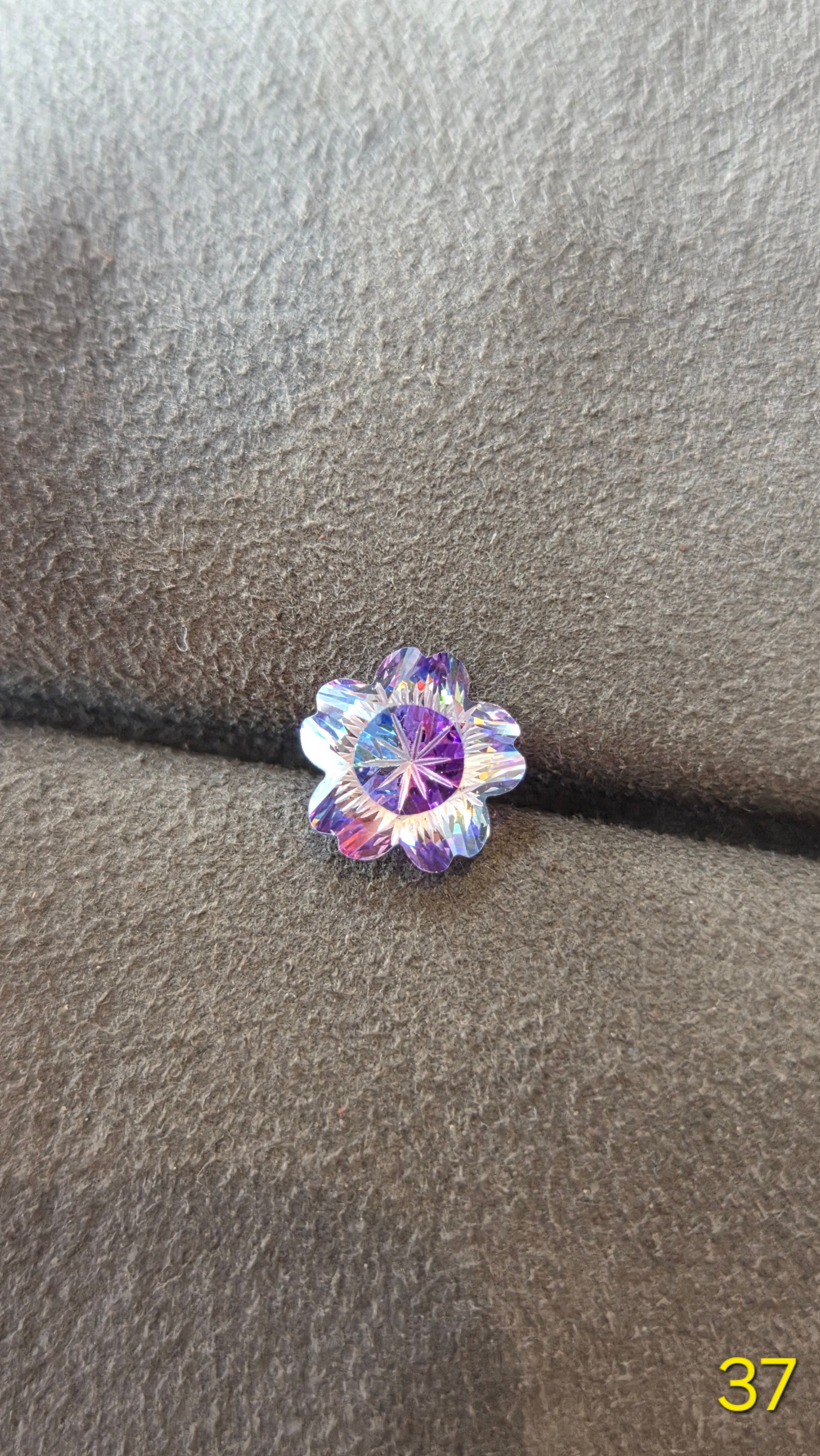 櫻花 037 流星紫藍