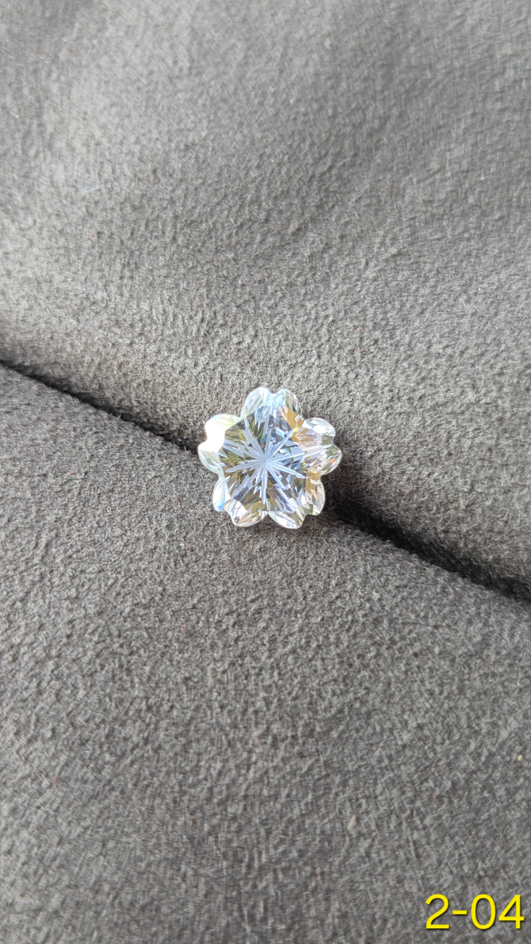 櫻花 204  白月光