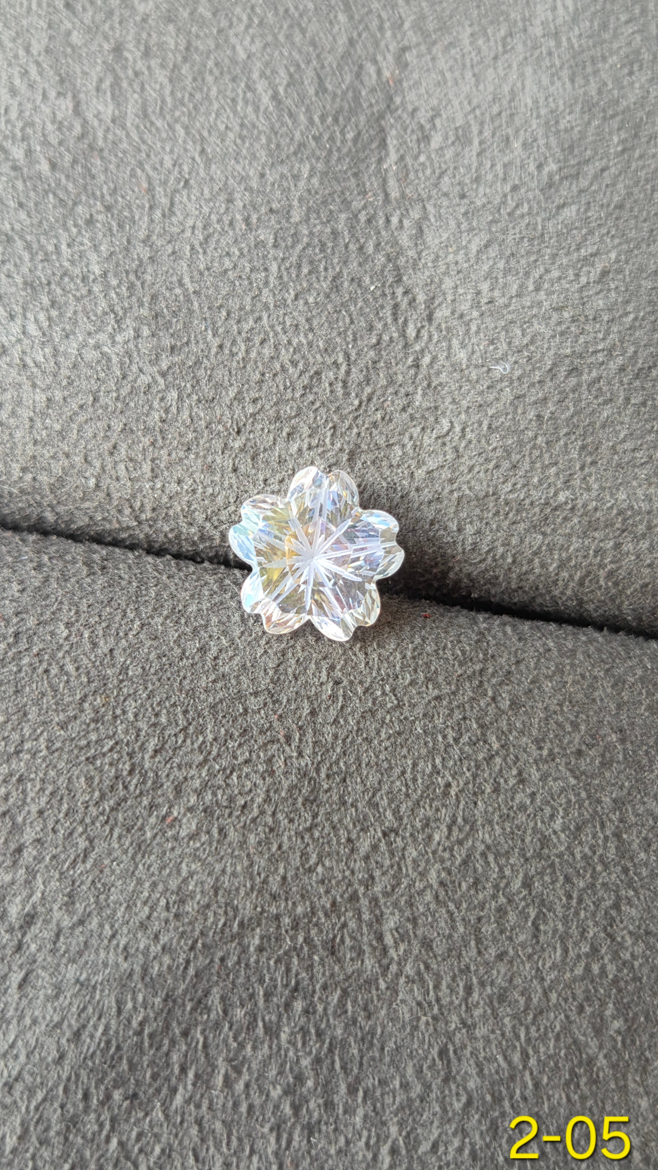 櫻花 205  白月光