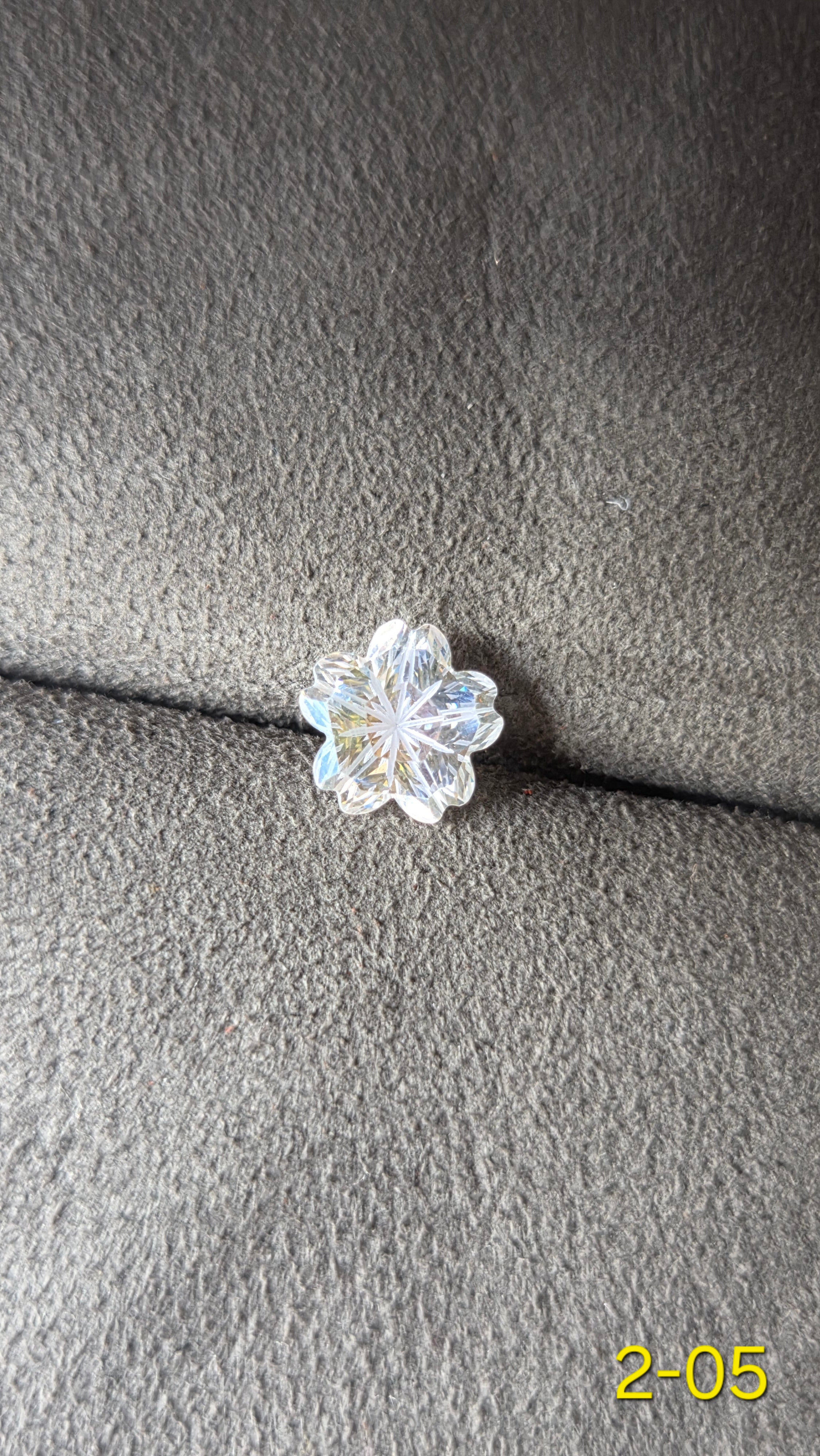 櫻花 205  白月光
