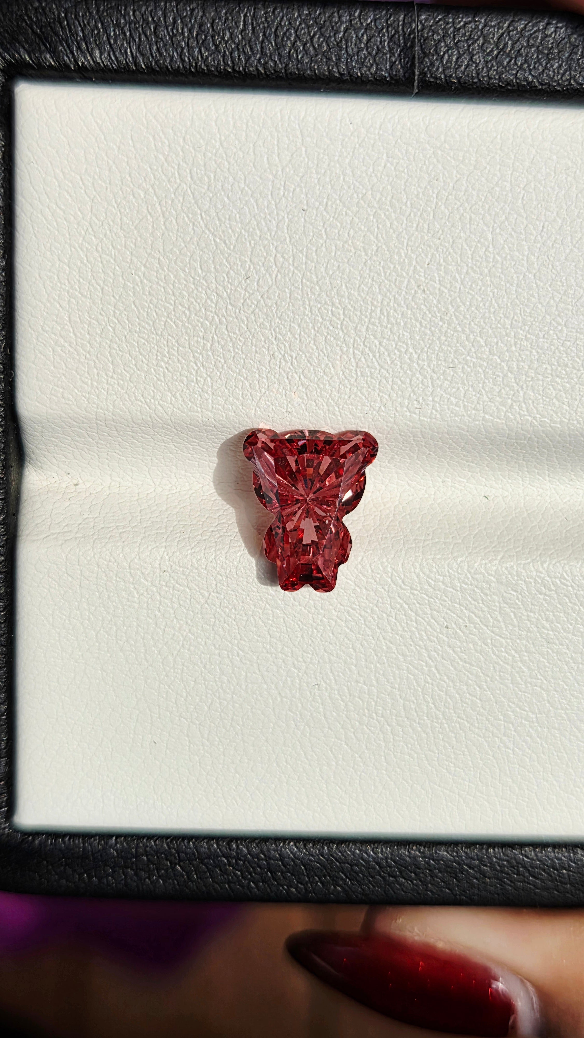 Bear01 小熊鑽
