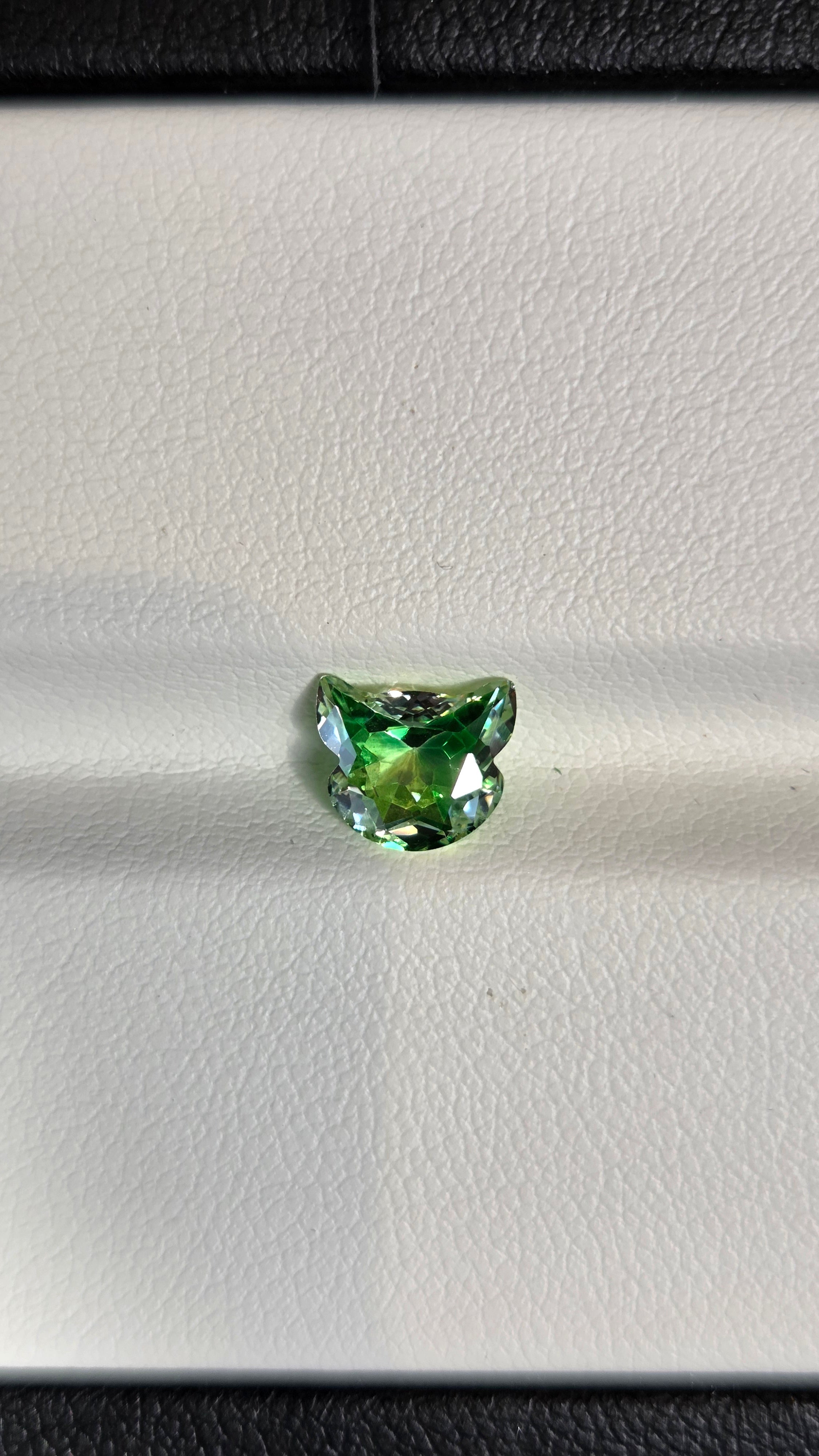 Cat01 綠色漸變貓貓