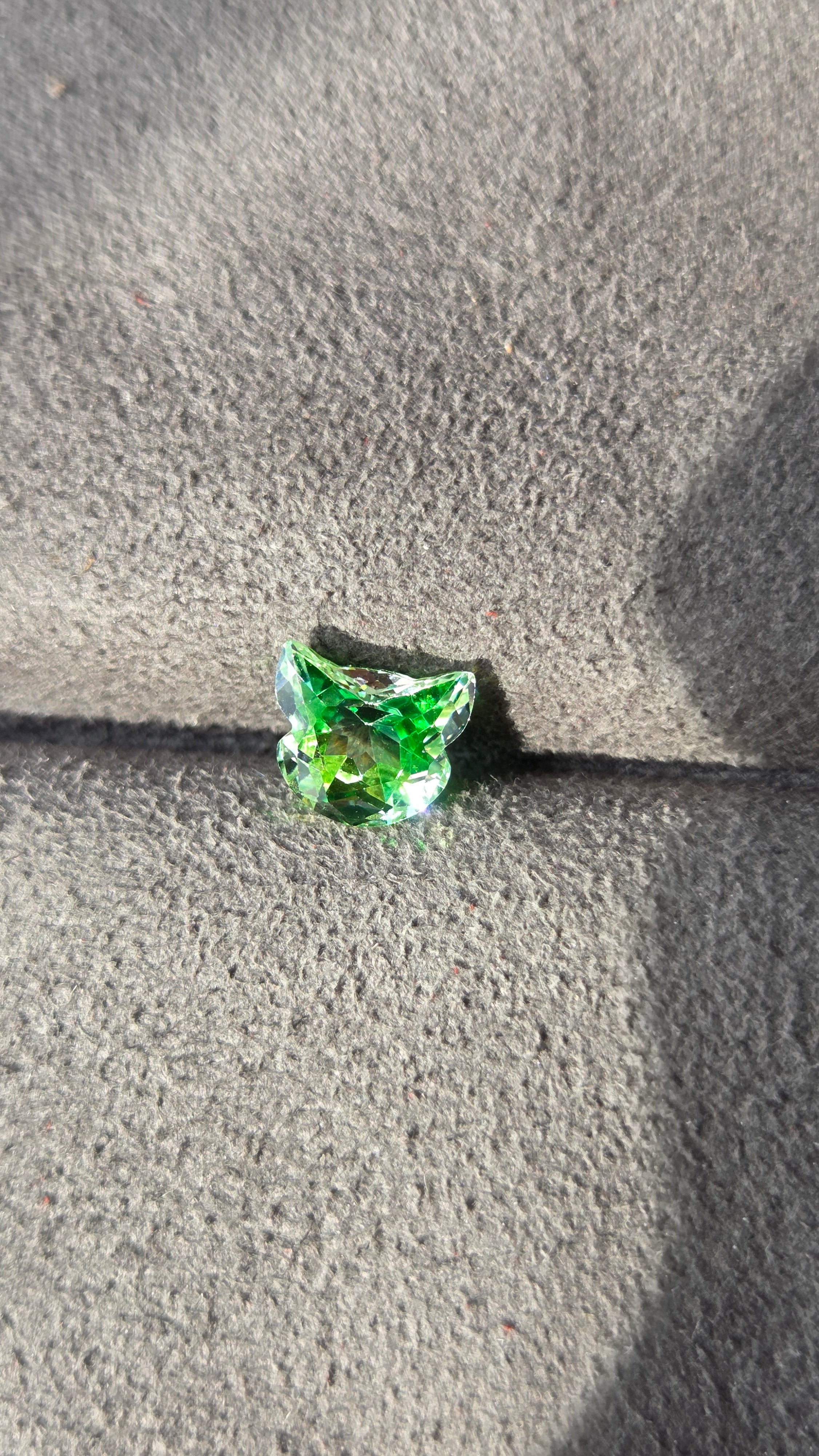 Cat01 綠色漸變貓貓