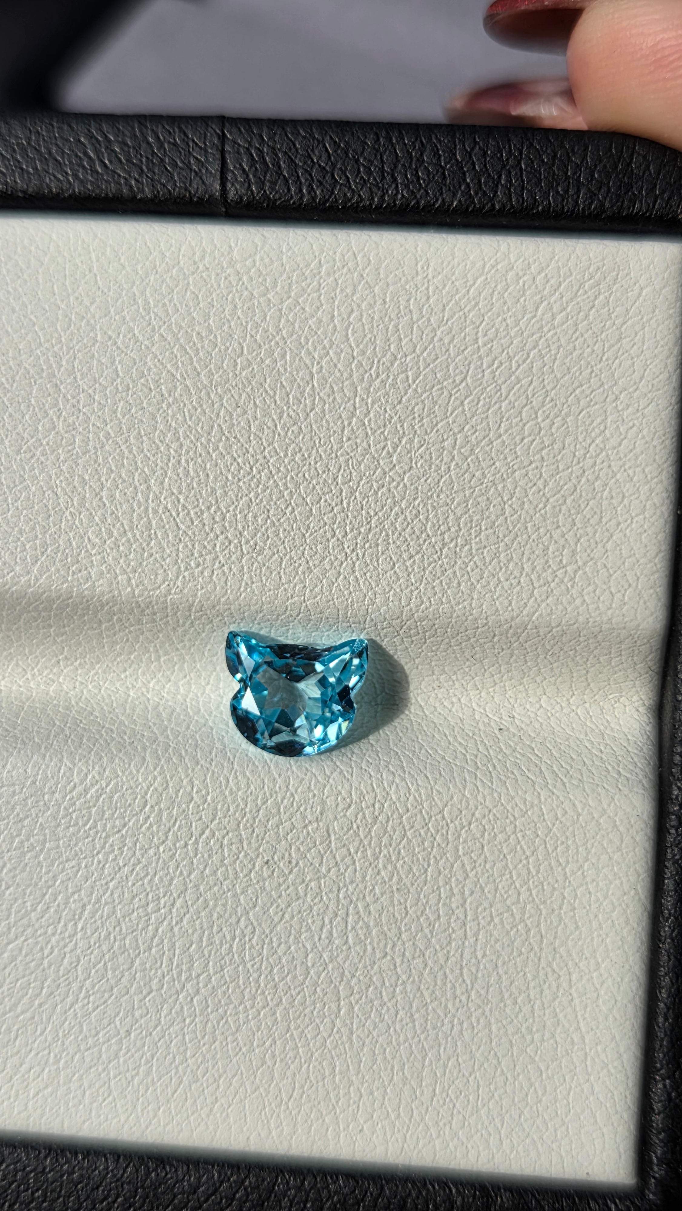 Cat02 冰藍貓貓