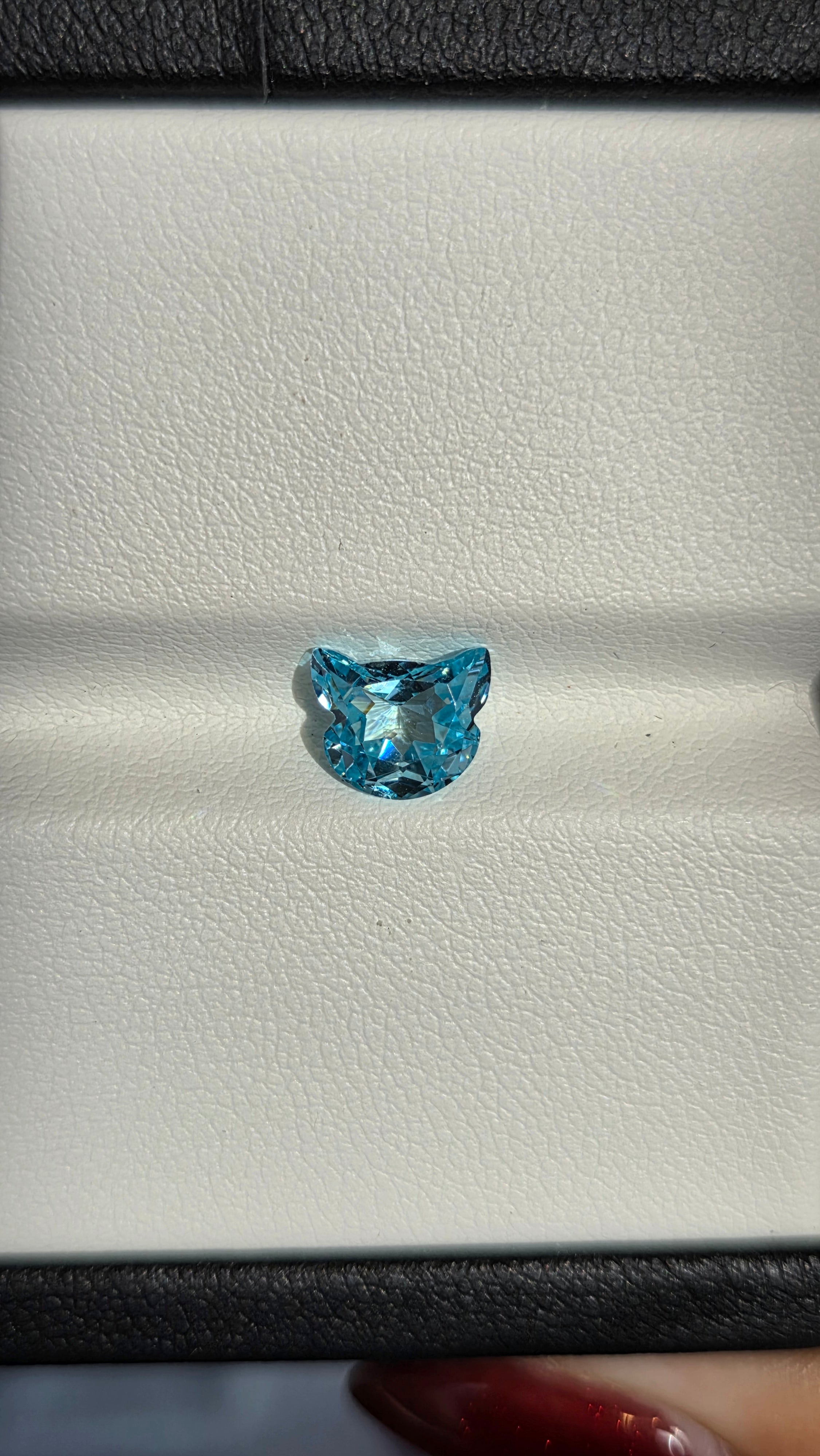 Cat02 冰藍貓貓