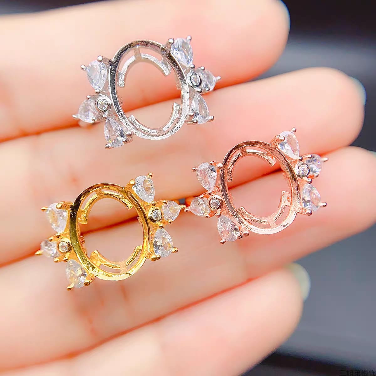 S079-rings