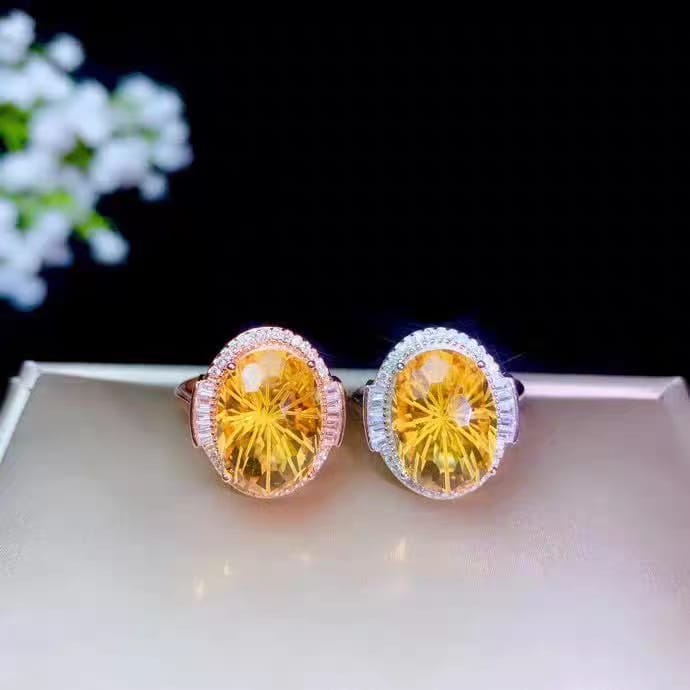 S079-rings