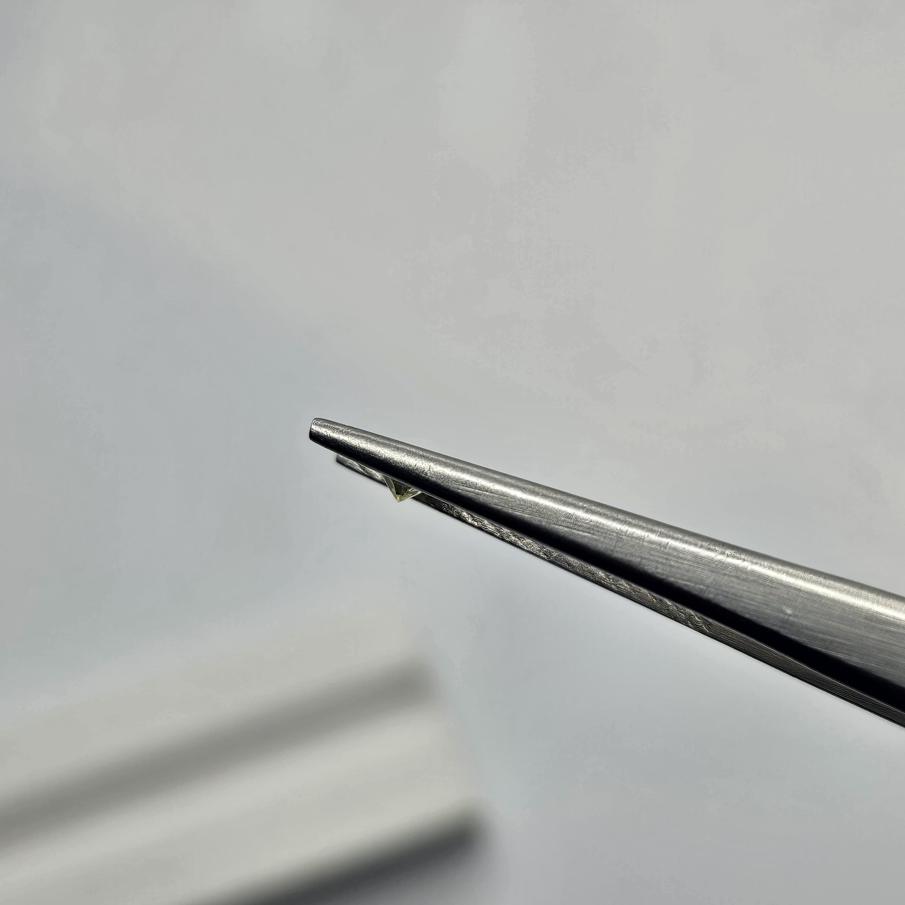 淺橄欖小小蛋形