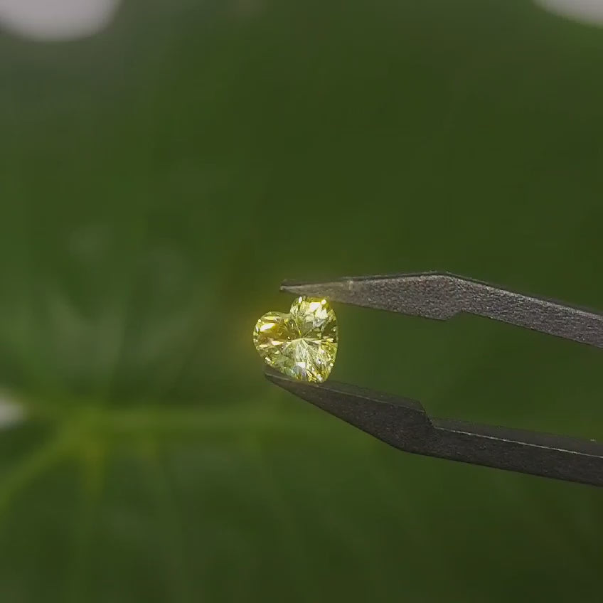 淺色橄欖黃心形