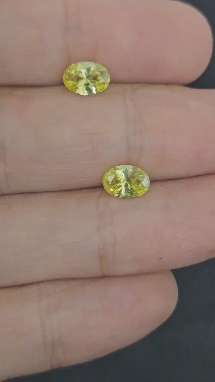 淺橄欖小蛋形對裝