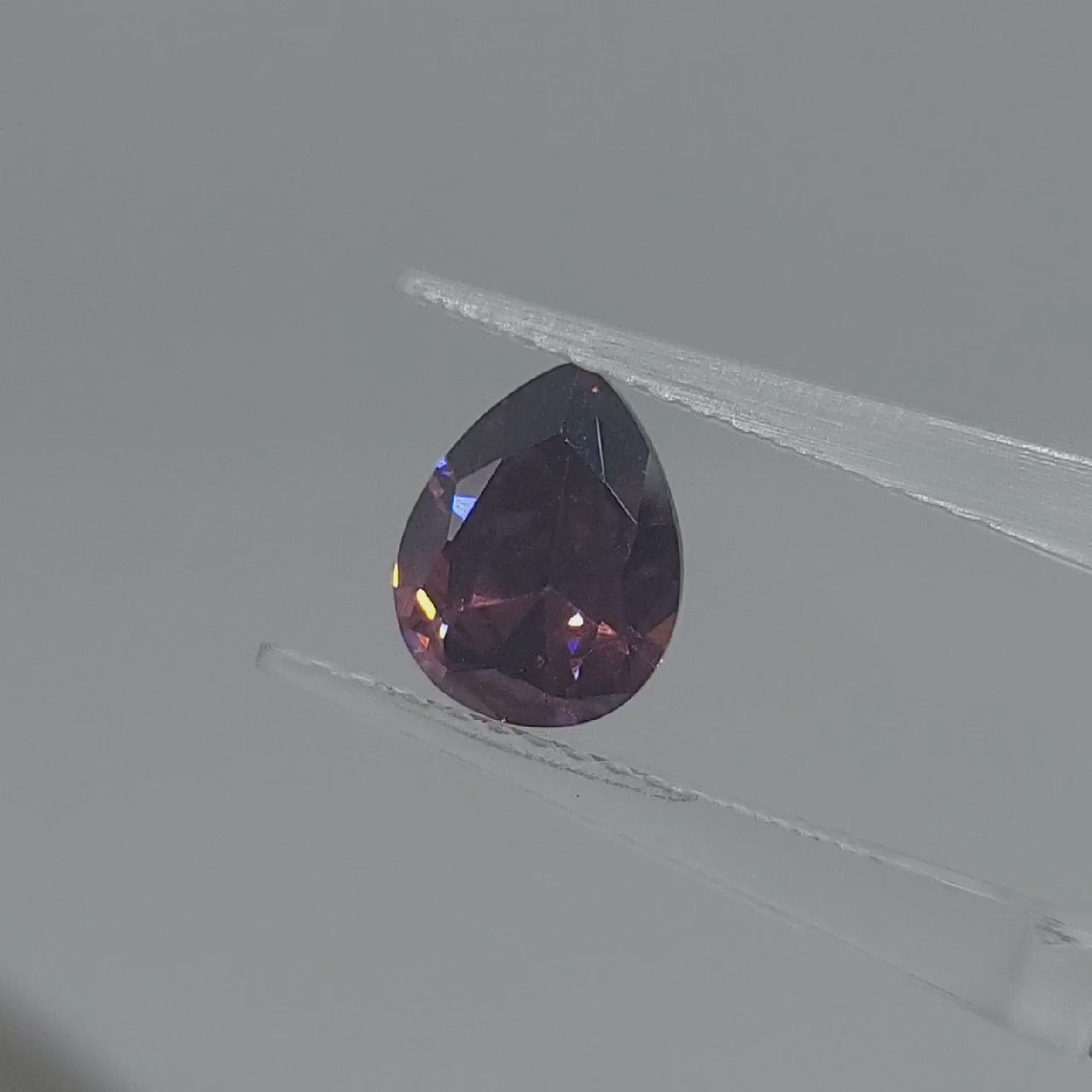 乾燥紫玫瑰梨形