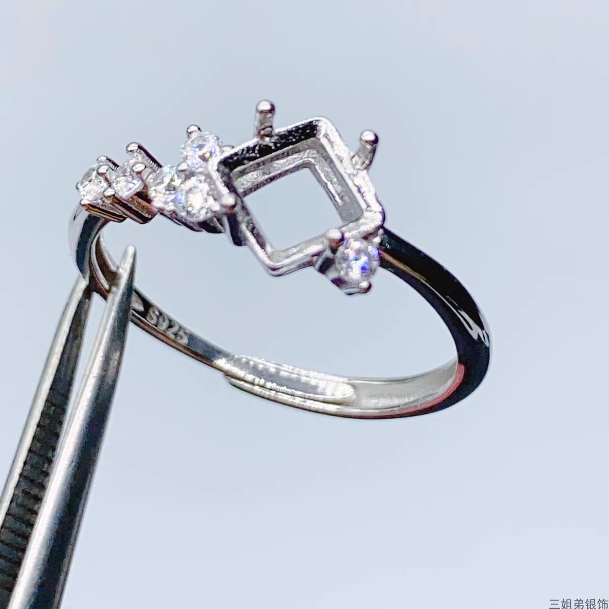 S031-rings